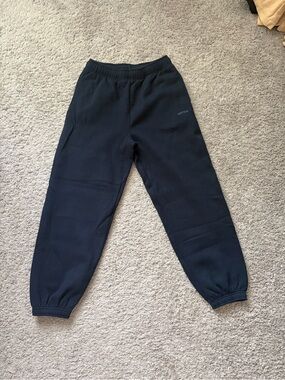 Aritzia Navy Sweat Joggers with Elastic Cuffs